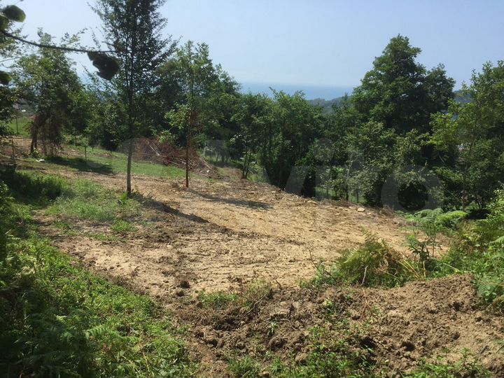 Участок 5 сот. (ИЖС)