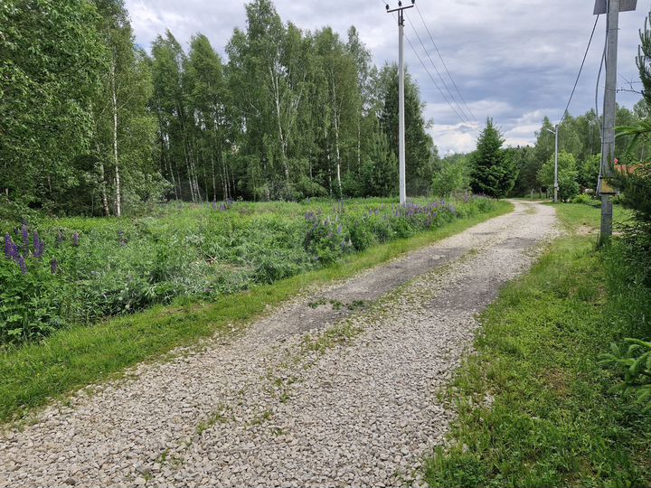 Участок 11,5 сот. (ИЖС)