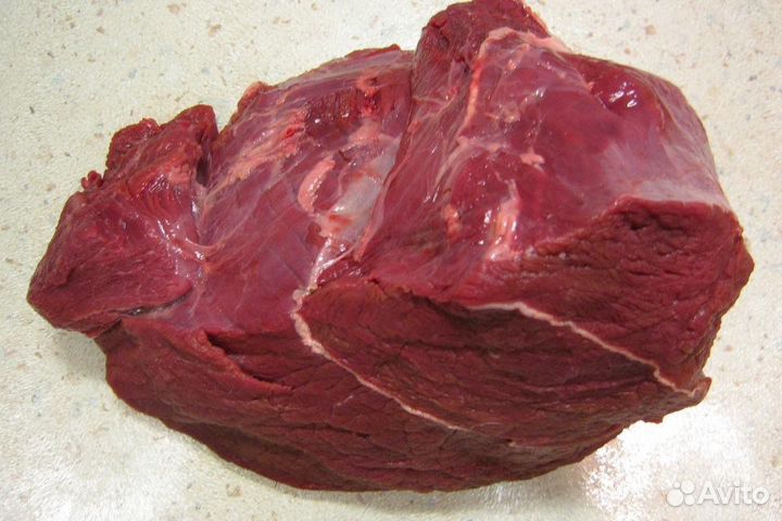 Продам мясо лосятины