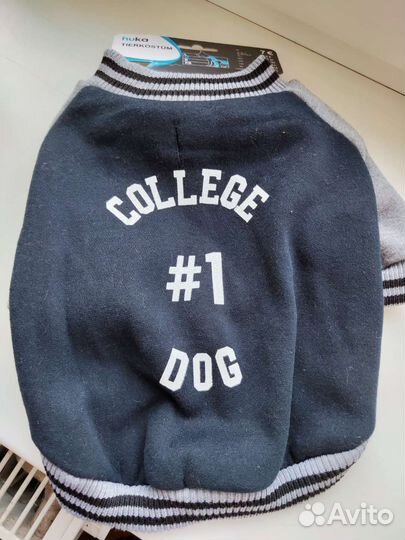 Одежда для собак