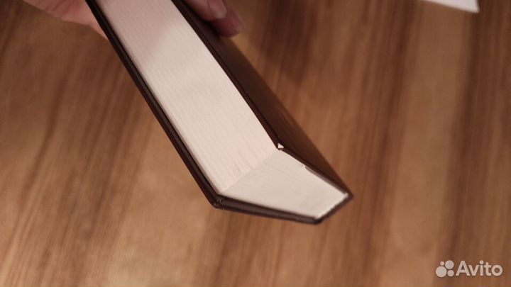 Элис Хоффман 