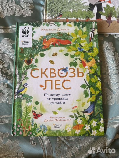 Бабочка не спешит.Сквозь лес.Как растут овощи