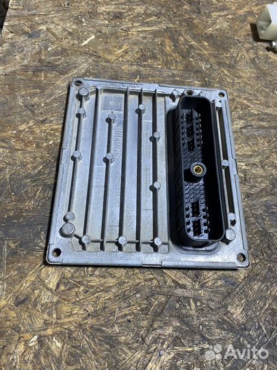 Мозги ford focus 2 1.6 100 л.с