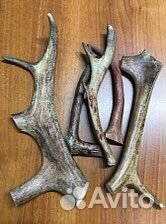 Рога лося для собак