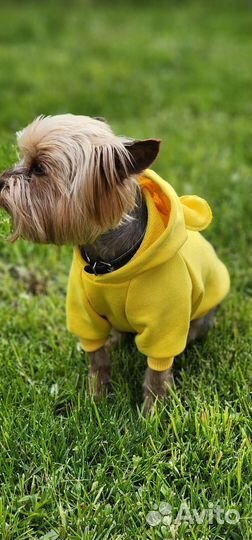 Одежда для собак мелких пород