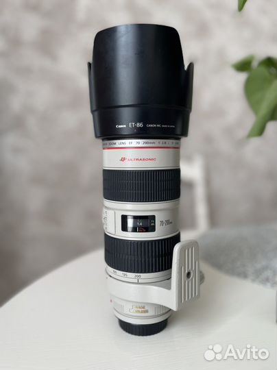 Объектив Canon EF 70-200mm f/2.8L IS USM