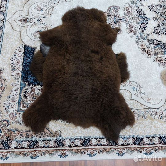 Шкуры овцы(много)