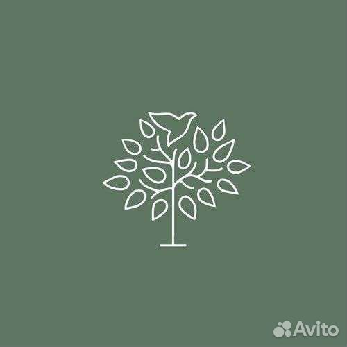 Репетитор младших классов