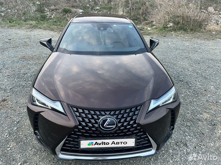 Lexus UX 2.0 CVT, 2022, 31 000 км