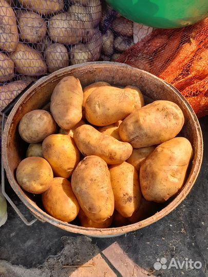 Своя картошка с доставкой