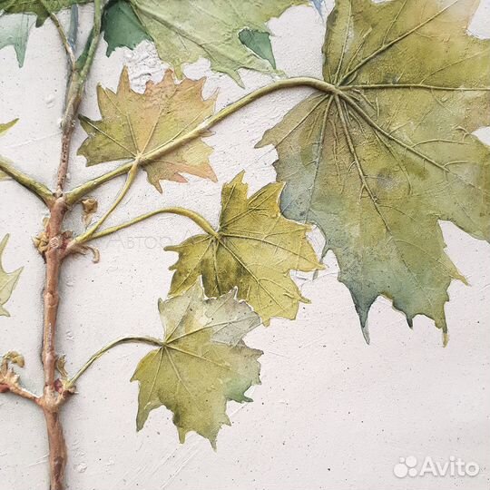 Ботанический барельеф 