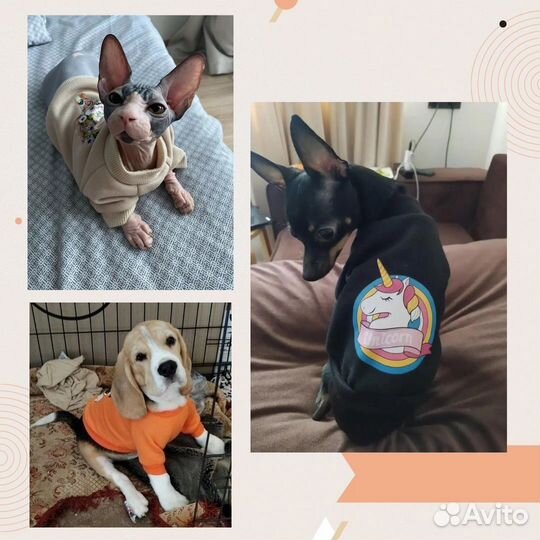 Кофта толстовка для собак и кошек, новая