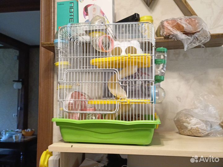 Сирийский хомяк с клеткой