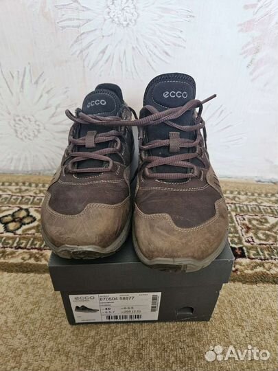 Кроссовки мужские 40 ecco terrawalk M