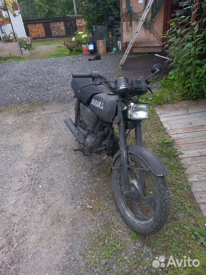 Alpha RX кастом