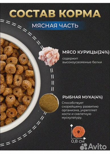 Туалет для кошек