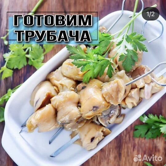 Феле трубача