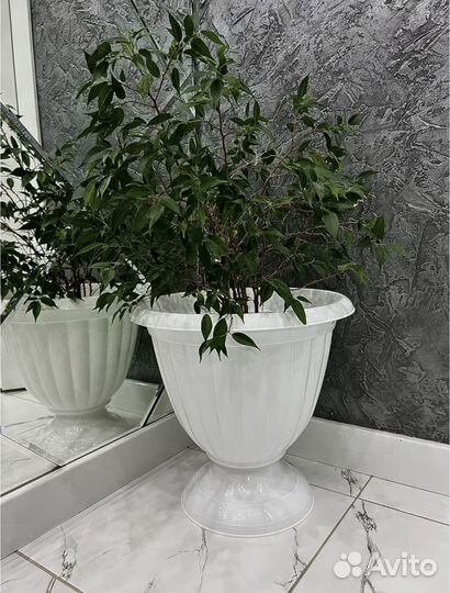 Вазоны для цветов