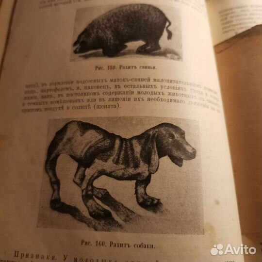 Старинные антикварные книги