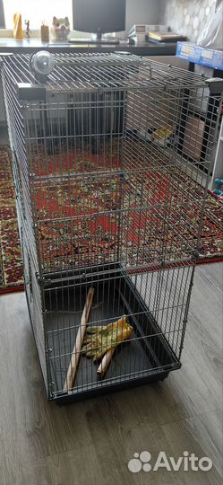 Клетка для попугая