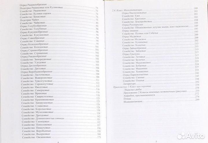 Животные города Перми. Позвоночные. Воронов Г.А