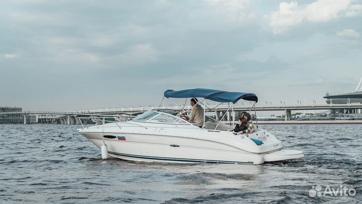 Аренда катера с капитаном мосты каналы залив