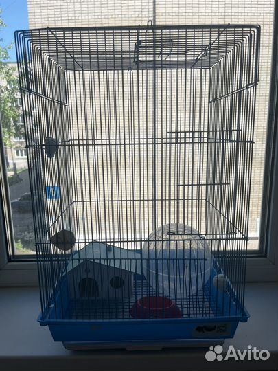 Клетка для грызунов большая