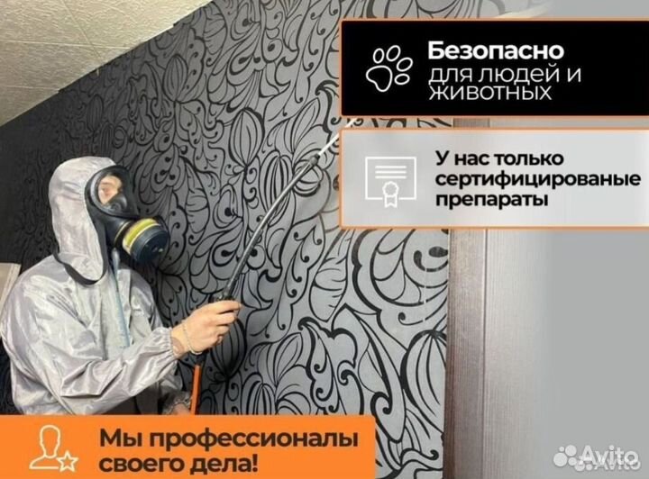 Уничтожение клопов тараканов мышей блох плесени