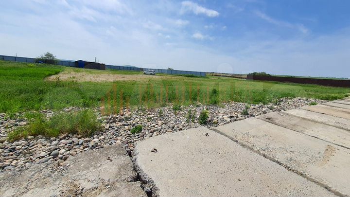 Участок 43 сот. (СНТ, ДНП)