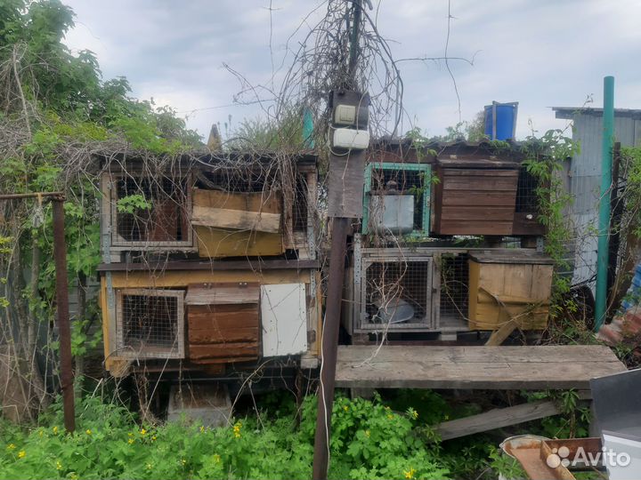 Клетки для кролика