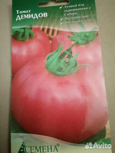 Рассада томатов