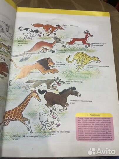 Моя первая энциклопедия Дикие животные