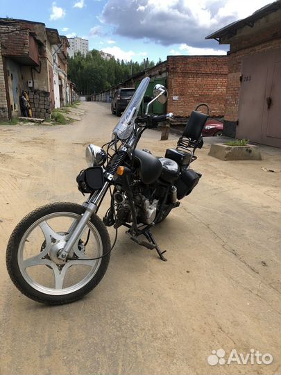 Wels Despot (Harley New )