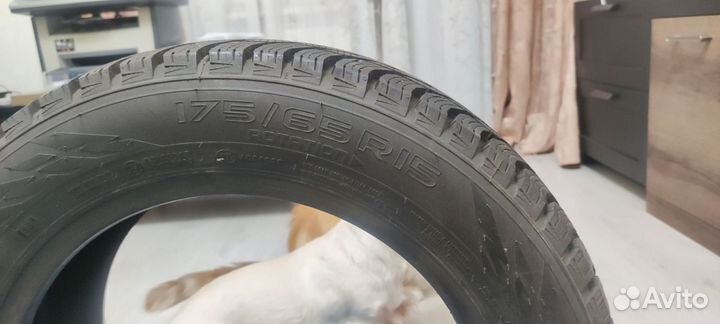 Nokian Tyres Hakkapeliitta R3 175/65 R15