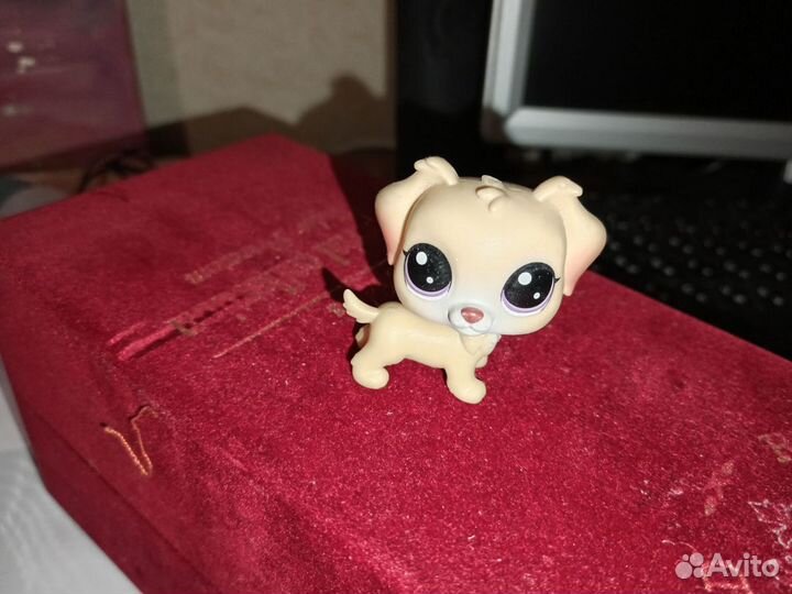 Littlest Pet Shop