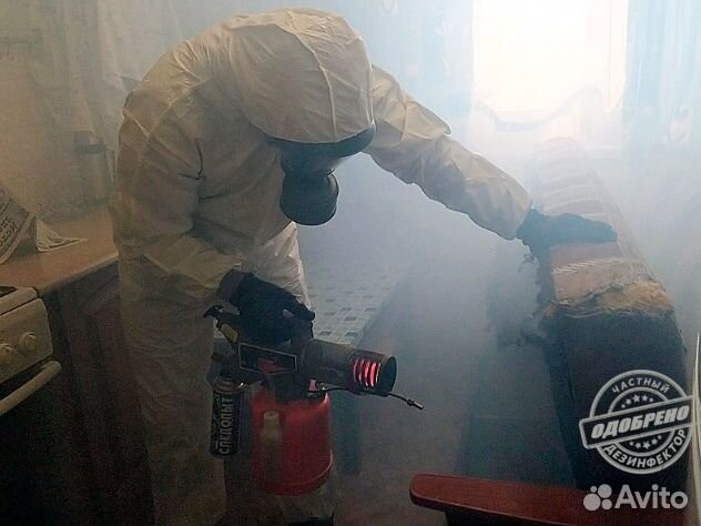 Уничтожение клопов тараканов дезинфекция плесени