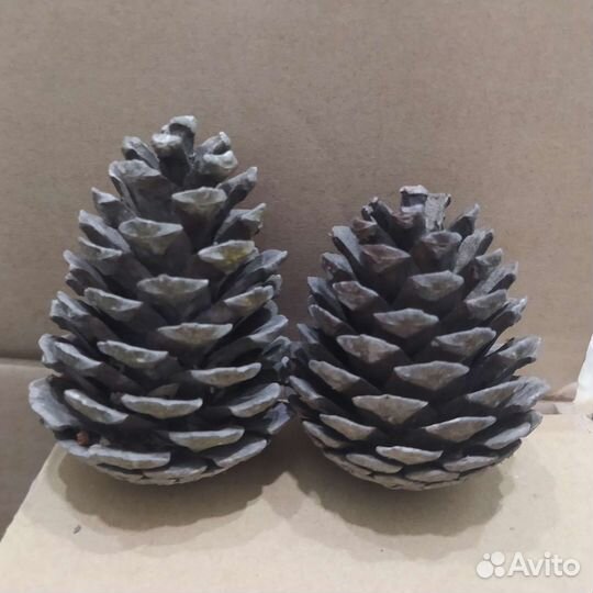 Шишки, Наборы для творчества ассорти новый год