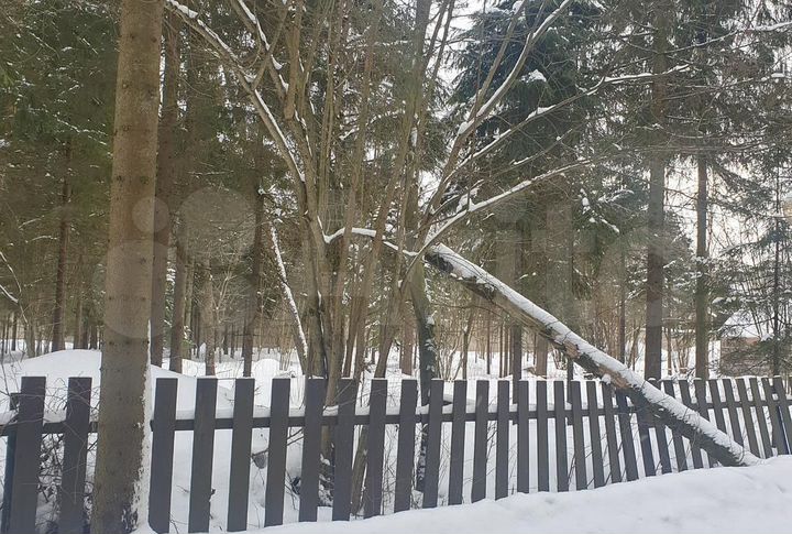 Участок 12 сот. (СНТ, ДНП)