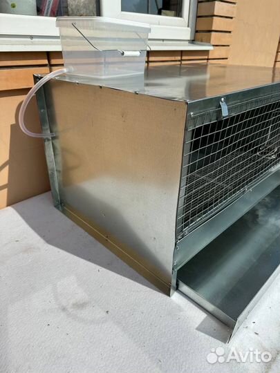 Брудер для цыплят