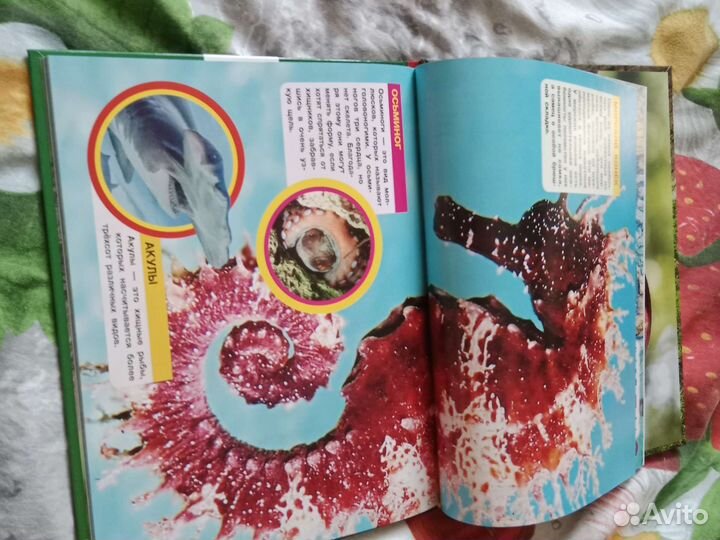 Детские книги, Энциклопедия кто где живет