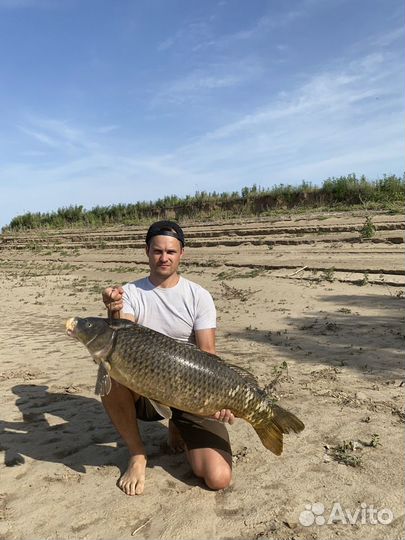 Жмых самодельный макуха