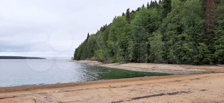 Участок 8,5 сот. (СНТ, ДНП)