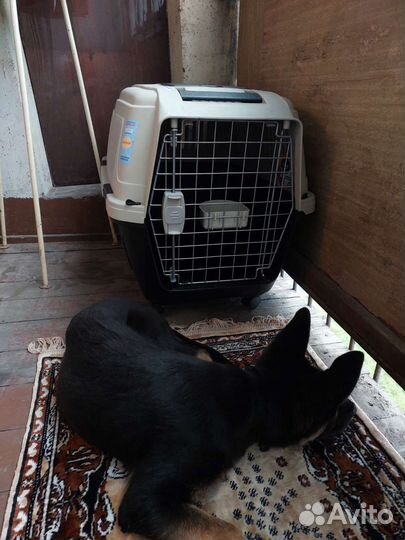 Переноска для животных