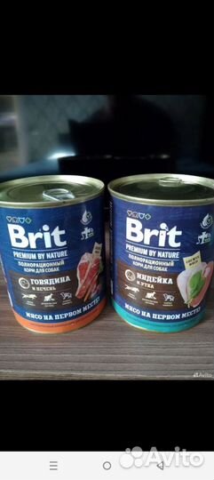 Влажный Корм для собак