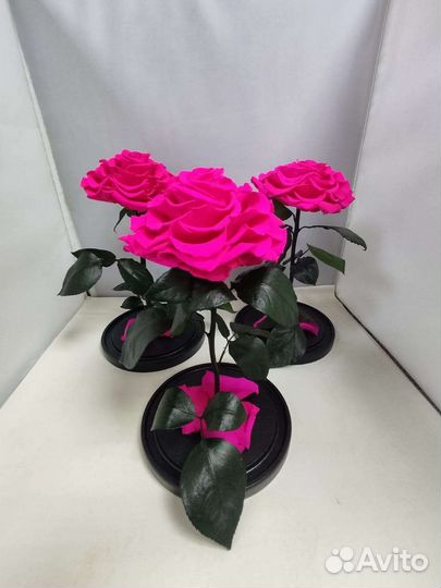 Роза в колбе опт