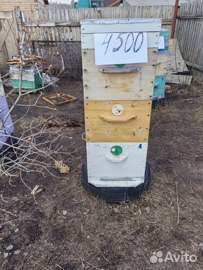 Улей для пчел бу