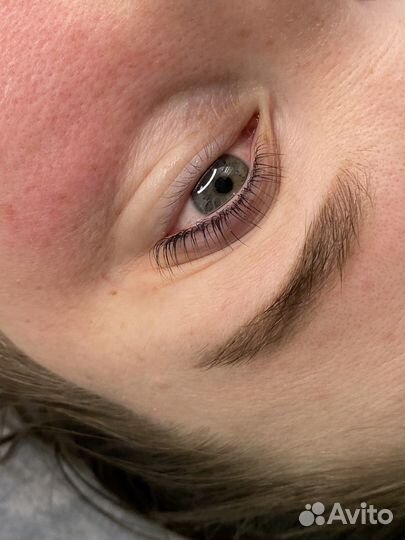 Ламимейкер/бровист