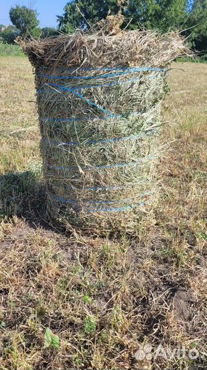 Сено в тюках