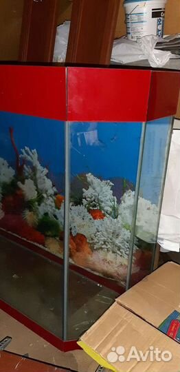 Аквариум