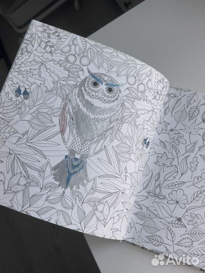 Раскраска таинственный сад